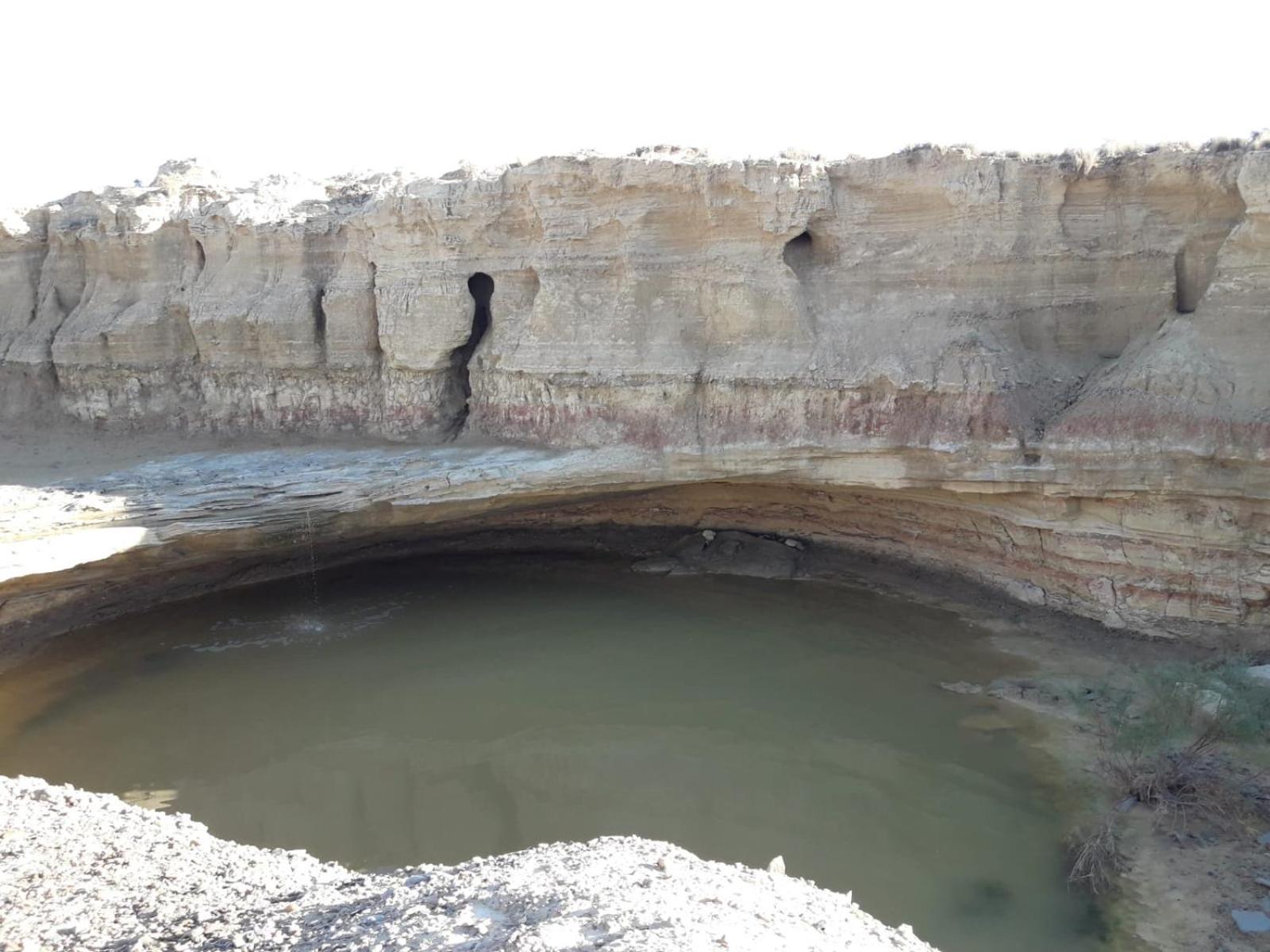 La Manguita Bardenas Villa Arguedas Exteriör bild
