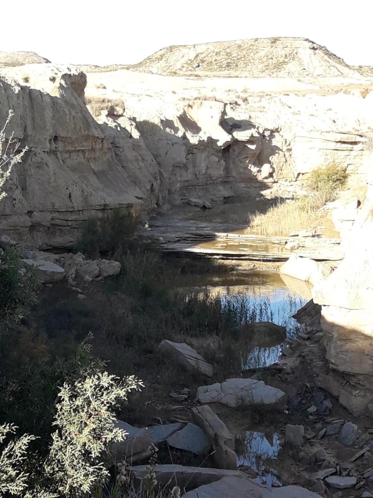 La Manguita Bardenas Villa Arguedas Exteriör bild